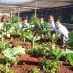 1ª SEMEARTE: confira o que as unidades operacionais do Lar Fabiano de Cristo têm realizado sobre arte e meio ambiente