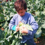 Casa de André Luiz, em Passa Quatro (MG), realiza atividade de colheita de hortaliças junto aos coparticipantes