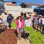 Casa de Alimiro, em Belo Horizonte, proporciona aos coparticipantes atividade de colheita e preparação de vegetais