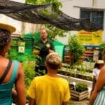 Casa de Renato, em Nova Iguaçu (RJ), realiza culminância do Projeto Mãozinha Verde